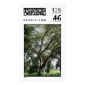 My mysterious tree postage