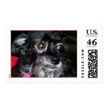 My Name Is Annie Rooney postage