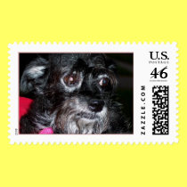 My Name Is Annie Rooney stamps