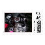 My Name Is Annie Rooney postage