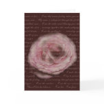 art, design, fine art, floral, rose, pink, flower,