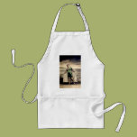 MY New Swimsuit Apron