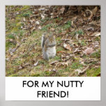 MY NUTTY FRIEND POSTER posters