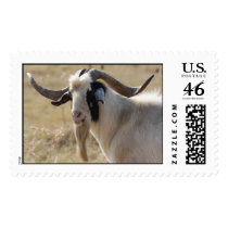 My Old Goat postage by KayWMiller My Old Goat postage