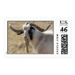 My Old Goat Postage Stamps