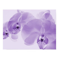 My Orchid 1 posters by caver01 My Orchid 1 posters