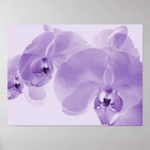 My Orchid 1 print