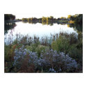 My peaceful pond posters by katlynnelore My peaceful pond posters