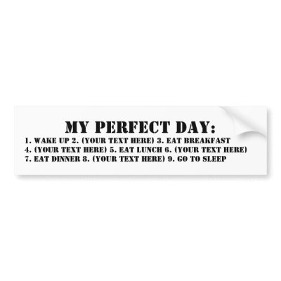 My Perfect Day Bumper Stickers by cmmeiz