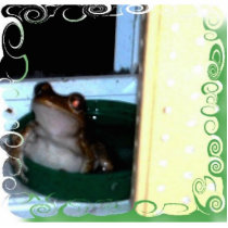 my pet frog photo sculptures