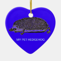 MY PET HEDGEHOG - You Should Get One Christmas Tree Ornaments