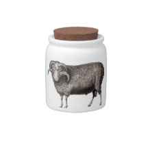 MY PET RAM CANDY JARS