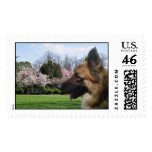 My Pets Portrait Postage