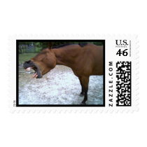 My pictures from home 426 stamps