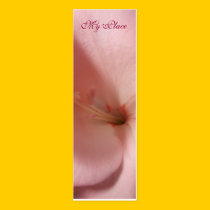 My Place Gladiola Book Mark profile cards