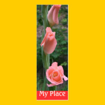 My Place Gladiola Book Mark profile cards