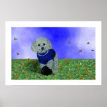 My poodle and his ball. posters