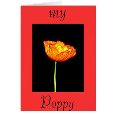 My Poppy Greeting Cards by peterspooner