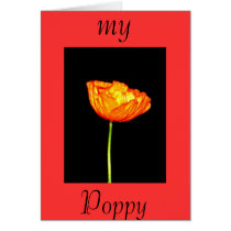 My Poppy cards