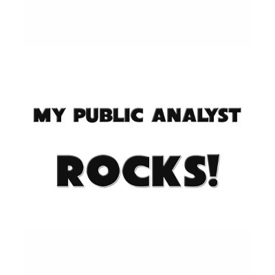 MY Public Analyst ROCKS! T Shirt by professions
