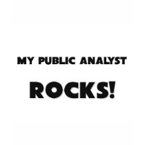 MY Public Analyst ROCKS! t-shirts by professions MY Public Analyst ROCKS! t-shirts