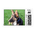 My puppy 1 postage by ecreporter My puppy 1 postage