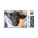 My puppy postage by ecreporter My puppy postage
