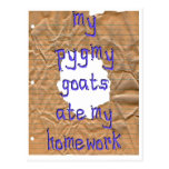My Pygmy Goats Ate My Homework Post Cards