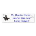 My Quarter Horse is smarter than... bumper stickers by crookedblaze My Quarter Horse is smarter than... bumper stickers