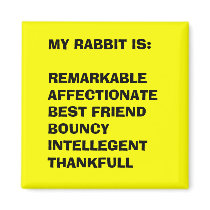 My Rabbit Magnet