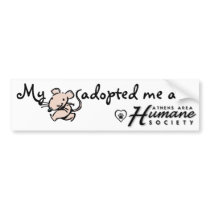 My rat adopted me bumper sticker bumper stickers