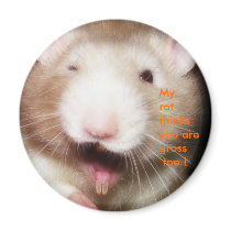 My rat ...grossed out Magnet by Mel669 My rat ...grossed out Magnet