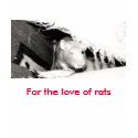 My Rat Kelowna t-shirts by sally7466 My Rat Kelowna t-shirts