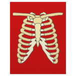 My Ribs letterhead