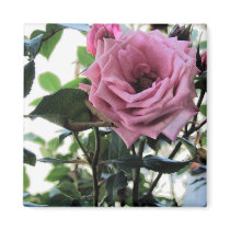 My Rose magnets