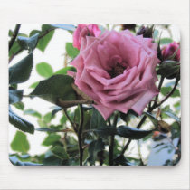 My Rose mousepads