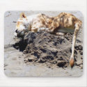 My Sandcastle!!! mousepads