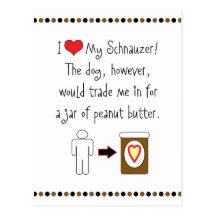 My Schnauzer Loves Peanut Butter Postcards