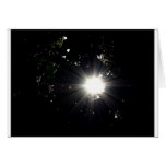 My Shine My Shine