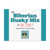 My Siberian Husky Mix is All That! postcards