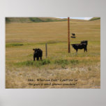 My Side Of The Fence Print