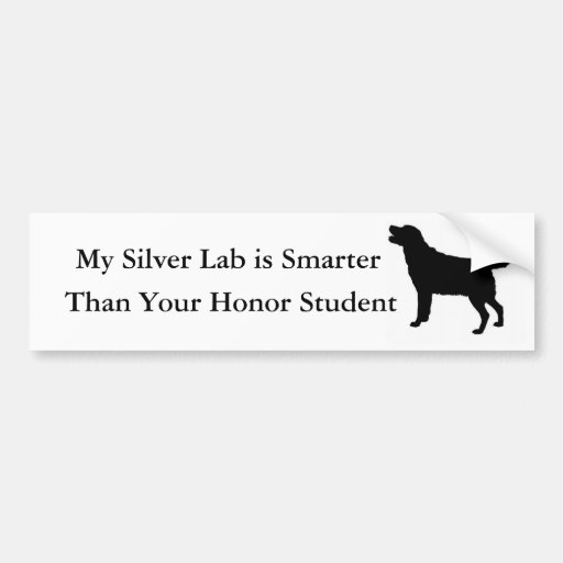 My Silver Lab is Smarter Than Your Honor Student Bumper Sticker