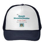 My Small Munsterlander is All That!