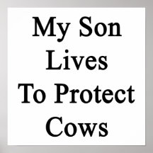 My Son Lives To Protect Cows Poster