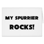 MY Spurrier ROCKS! Cards