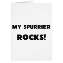 MY Spurrier ROCKS! Greeting Cards