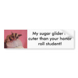 My sugar glider is cuter than your ho... bumper sticker