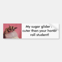 My sugar glider is cuter than your ho... bumper sticker
