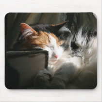 My sunbeam mousepads