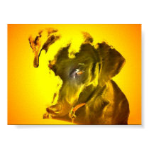 my sunshine posters by plunket my sunshine posters